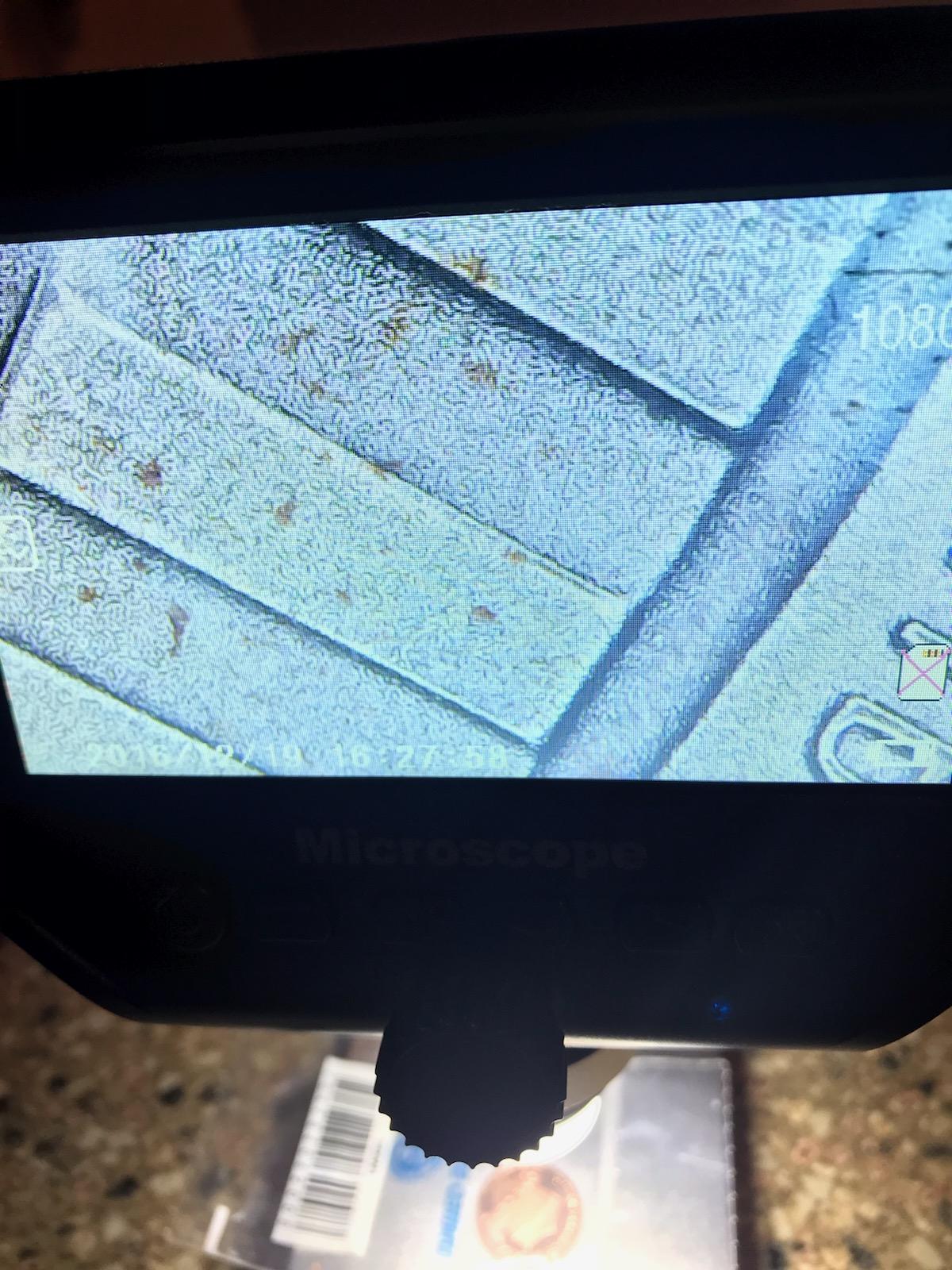 2019-W-Penny-Error-From-Mint